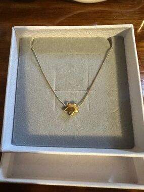 Stainless Steel 14kt Gold Plated Star Pendant Necklace - Women's Jewelry